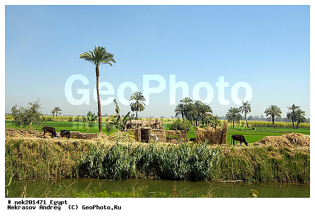 , ������, �����������, �����������, �����������, ����, ������, ������, �, ���������, �������, ������ ������, ����������, ����������, ����������, ����������, ����������, ��������, ������, ���������, ���������, ��, ������, �����, ������, ���������, �������, �������, �����������, ����, ���� ���, ����, ������, ������, ������ � �����, �������������, �������������, �������������, �������������