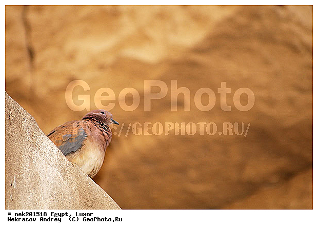 , ������, �����������, �����������, �����������, ������, ����������, ����������, ���������� ����, ������, ���������� ����, ������, �����, ���������������, ����������, �����������, �������������, �, ���������, ���������������������, ���������, �������, ������� �����������, ������� ��������, ������� �����������, ������ ������, ����������, ���������� �����������, ����������, ����������, ����������, ����������, ������������ ���������, ������������, ������������, �������, ��������, ��������, ����������, ������, ���������, ���������, �����, ��������, ��, ��������, �������� ��������, ������, �����, ������, ��������, ��������� �����������, �������, �����������, ������, ������, ������ � �����, �������������, �������������, �������������, �������������, �������