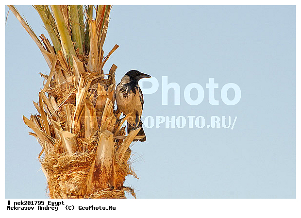 ������, �����������, �����������, �����������, ������, ������� ����, ������, �������, �, ����, ������ �����, ������ ������, ���������, �����, ������ ������, ����������, ����������, ����������, ����������, ����������, ��������, ������, ���������, ���������, ����, ��, ������, �����, ������, �����, ����, �����, �������, �����������, ������, ������, ������ � �����, �������������, �������������, �������������, �������������