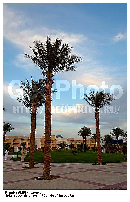 ������, �����������, �����������, �����������, ������, ������� ����, ������, �������, �, ����, ������ �����, ������ ������, ���������, �����, ������ ������, ����������, ����������, ����������, ����������, ����������, ��������, ������, ���������, ���������, ����, ��, ������, �����, ������, �����, ����, �����, �������, �����������, ������, ������, ������ � �����, �������������, �������������, �������������, �������������