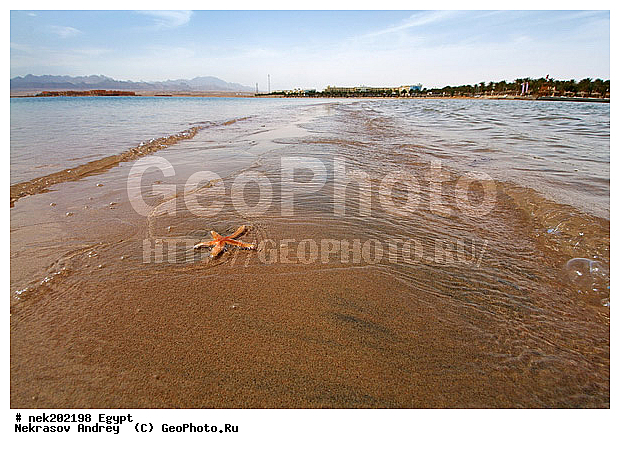 ������, �����������, �����������, �����������, ������, ������� ����, ����� �� ������ �������� ����, ������, �������, �, ����, ������ �����, ������ ������, ���������, �����, ������ ������, ����������, ����������, ����������, ����������, ����������, ����, ���� �� ����, ����, ���� �� ����, ��������, ������, ���������, ���������, �������, ����, ��, ������, �����, ������, �����, �����, �������� �����, �������� ����, ����, �����, ����� ����, �� ����, �������, �����������, ������, ������, ������ � �����, �������������, �������������, �������������, �������������