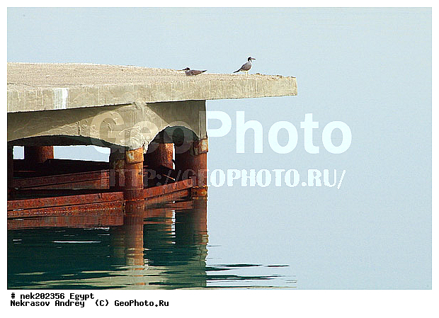 ������, �����������, �����������, �����������, ������, ������� ����, ������, �������, �, ����, ������ �����, ������ ������, ���������, �����, ������ ������, ����������, ����������, ����������, ����������, ����������, ��������, ������, ���������, ���������, ����, ��, ������, �����, ������, �����, ����, �����, �������, �����������, ������, ������, ������ � �����, �������������, �������������, �������������, �������������