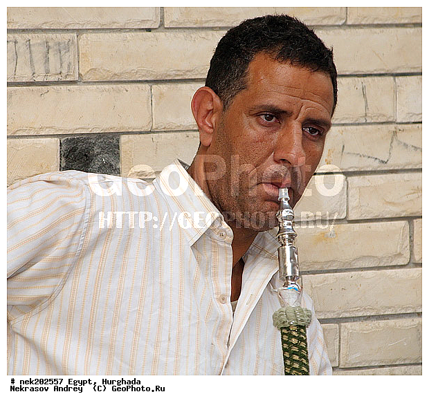 , ������, �����������, �����������, �����������, ������, ���������, ������, �������, ����, �����, �, ���������, �����, ������ ������, ����������, ����������, ����������, ����������, ����������, ��������, ������, ��������, ������, ���������, ���������, ����, ������� ���������, ������� ������, ��, �����, ����������, ������, ��������� , ������, �����, ������, �������, �������, �����������, ������, ������, ������ � �����, �������������, �������������, �������������, �������������, �������