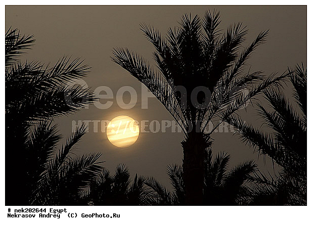 ������, �����������, �����������, �����������, ������, ������� ����, ������, �������, �, ����, ������ �����, ������ ������, ���������, �����, ������ ������, ����������, ����������, ����������, ����������, ����������, ��������, ������, ���������, ���������, ����, ��, ������, �����, ������, �����, ����, �����, �������, �����������, ������, ������, ������ � �����, �������������, �������������, �������������, �������������