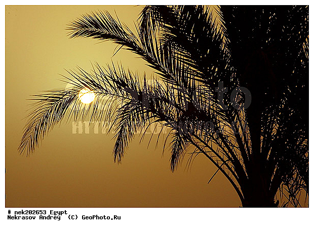 ������, �����������, �����������, �����������, ������, ������� ����, ������, �������, �, ����, ������ �����, ������ ������, ���������, �����, ������ ������, ����������, ����������, ����������, ����������, ����������, ��������, ������, ���������, ���������, ����, ��, ������, �����, ������, �����, ����, �����, �������, �����������, ������, ������, ������ � �����, �������������, �������������, �������������, �������������