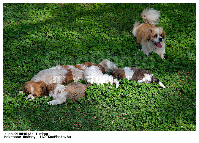 Vogue, Vogue Hotel, �������, ���, ������, ���������, ���������, ������, ���������������, ���������������, �, �������, ���������, ��������, ������, ���������, ���������, ��, �����, �����, ������, ������, ��������, ��������, ��������, ��������, ������ ������������� ������, �������������, �������������, �������������, �������������, �����