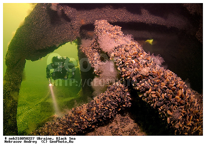 9 ���, ���, ���������, ����, �������, ������, ������, ��������, ���������, ���������������, ����������, ����, �, ����, ������, ������, ������, �����, �������, �����, ����� �� ����, �����, ������, ������, �������, ���� ������, ���, ����������, ����������, ����������, ���������� ������, �����������, ������������, �������, ���������������, �������, ��������, ��������, ����, �������, ��, �������, �������, ��������, ������, ������, �������� �������, ��������, ������, ���, ���������, ��������� ����������, ���������, ���������, ���������, ��������� ���, ���������, ��� �����, ���, ���, ���-�������, ����, �����, ��������, ������������, ������������, ������������, ��������, 9 ���, �������� ���������, ��������, 2300, �������������, �������������, �������, �������, ��������, �������������, ���������� �����