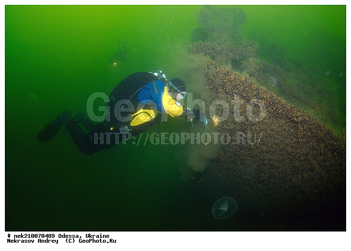 ���, ������, ���, ��� �������, ����, ������, ������, �������, ������, ������ ����, ������, ������, ���������������, ����������, �, ����, ������, ������, �����, �������, �������, �����, ����� �� ����, �����, ������, ������, �������, ���, �����, ����������, ����������, ���������� ������, �����������, ������������, �������, ���������������, �������, �����, ��������, ����, �������, ��, ������, �������� �����, ��������, ������, ���, ���������, ���������, ���������, ��������� ���, ��������, ���������, ���������, ���������, ���, ���-�������, ����, ����, �����, ���������, ������������ �����, ������������, ������������, ������������, ���������� �����