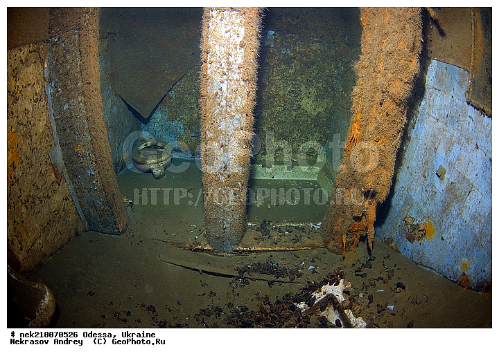 ���, ������, ���, ��� �������, ����, ������, ������, �������, ������, ������ ����, ������, ������, ���������������, ����������, �, �������, �������, �����, ����� �� ����, �����, ������, ������, �������, ���, ���, �����, ����������, ����������, ���������� ������, �����������, ������������, �������, ���������������, �������, ��������, ����, �������, ��, ������, �������� �����, ��������, ������, ���������, ���������, ��������� ���, ���������, ���������, ���������, ���������, ���, ���-�������, ����, ����, �����, ���������, ������������ �����, ������, ������������, ������������, ������������, ���������� �����