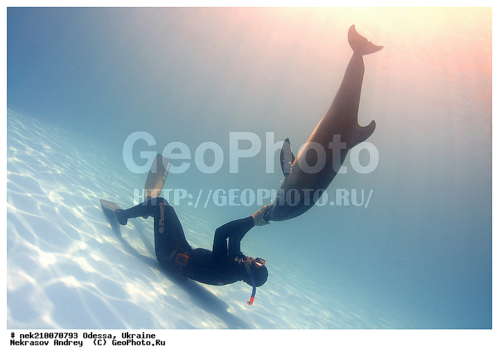 ����������� ����, ������� �������������, ������, ��������� ���, �������, �����������, �����, ������, ��������, ����, ������, ������, �����, ������, �������, ������, �������, �������, �����������, ��������, ����� �������, ��������, ����� ����, ������� �����, �������, �������, ����, ���������, ����������, ���������� ��� ����, ���, ���������, ��������� ����������, ���������, ���������, ���������, ��������� ����������, ���������, ��������� �����, ��� �����, ��������, ���-�������, ���������, ������� � �������, ��������, ������������, �������, �������, ������������ �������, ������������, ����������, ���-������, �������, �������������