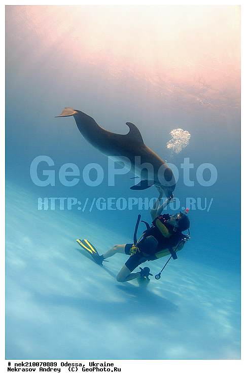 ����������� ����, ������� �������������, ������, ��������� ���, �������, �����������, ������,  ��������, ����, ������, ������, �����, ������, �������, ������, �������, �������, �����������, ��������, ����� �������, ��������, ����� ����, �������, ������� �����, �������, �������, ����, ���������, ����������, ���������� ��� ����, ���, ���������, ��������� ����������, ���������, ���������, ���������, ��������� ����������, ���������, ��������� �����, ��� �����, ��������, ���������, ������� � �������, ��������, ������������, �������, �������, ������������ �������, ������������