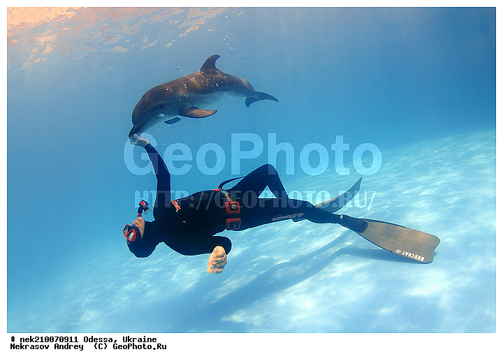 ����������� ����, ������� �������������, ������, ��������� ���, �������, �����������, �����, ������, ��������, ����, ������, ������, ������, �����, ������, �������, ������, �������, �������, �����������, ��������, ����� �������, ��������, ����� ����, ������� �����, �������, �������, ����, ���������, ����������, ���������� ��� ����, ���, ���������, ��������� ����������, ���������, ���������, ���������, ��������� ����������, ���������, ��������� �����, ��� �����, ���-�������, ���������, ������� � �������, ��������, ������������, �������, �������, ������������ �������, ������������, ����������, ���-������, �������, �������������