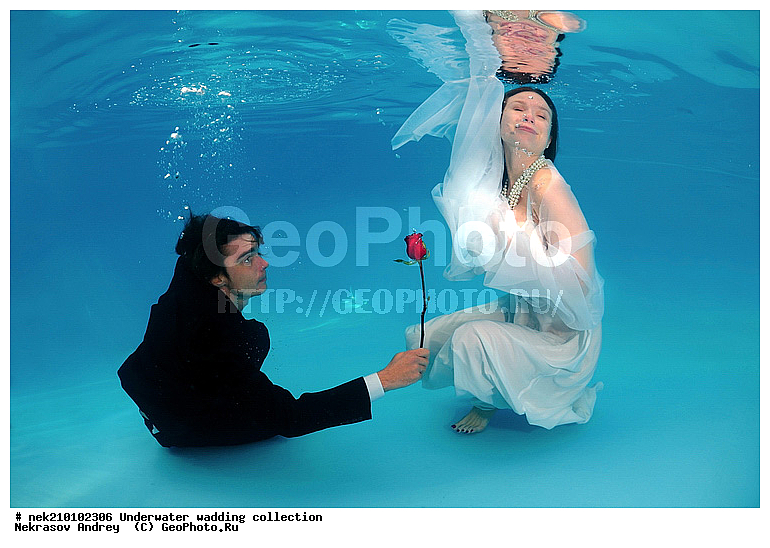 �����, ���, �������, ��������, �����, ��������������, � ����, ����������, ��������, ����, ������, ������, ������, �����, �������, �������, ����, �������, ����, ��������, ��������, �����, ��������, ������, �������, �������, �������, ����������, ���������, ������, �������, ����, ������, �����, ����������, �� ���, �����, ������, ��������, ��������, ���������, ������, ������, �����, ����, ������, �����, ���, �����������, ���������, ��������� ����������, ���������, ���������, ���������, ��������� ���, �������, �������������, �������������, ����, ���������, ���������, ���������, �������, �������, ����������, �����, ��������, �������, ���������, ������, �����, ����, ���, ����������, ����������, ����������, ����������, ������, �������, �������������, �������������, ������