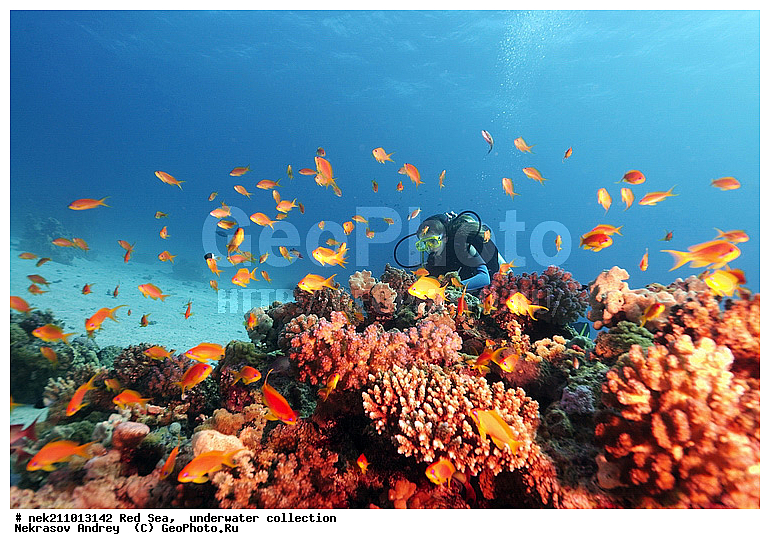 �����, ������� ����, ������, �������, ������, ����, �����, �������������, ������������, �������, ������, �����, ��������, �����, ��������, ������, ����������, ����������, ����������, �������, �������, ������, �������, �����������, ���, ����, �������, �������, �������, ����, �����, ������������, ������������, ���������, ����, ����������, ���������, ��������� ���������, ���������, �������, ���, �������, �������, �������, ����, ����, ��������, ��������, �������, �����������, �����������, �����������