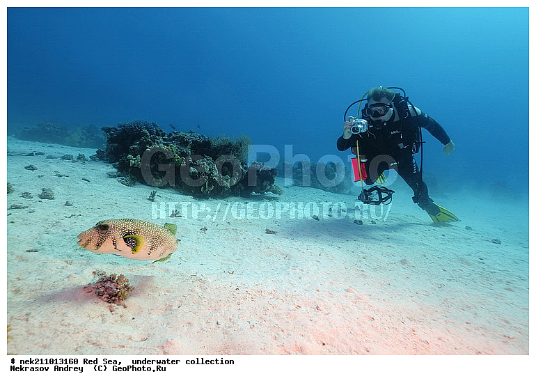 �����, ������� ����, ������, �������, �����, ����, �����, ����������������, �������������, �������, ���������, ������������, ������, �����, ��������, �����, ��������, ������, ����������, ����������, ����������, �������, �������, ������, �������, �����, ���, ����, �������, �������, �������, ����, ������������, ������������, �����, ������������, ������������, ���������, �������, ������, �������, ����, ����������, ���������, ��������� ���������, ���������, �������, ���, �������, �������, �������, ����, ����, ������, ������������, ��������, ��������, ��������, �������, �����������, �����������, �����������, ����, �����������, ���, ��������, ��������, ��������, ��������, ������� � ��������� ���, ������� � �������