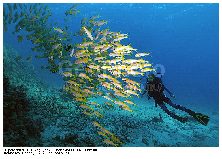 �����, ������� ����, ������, �������, ����������, ����, �����, �������������, �������, ������, �����, ��������, �����, ��������, ������, ����������, ����������, ����������, �������, �������, ������, �������, ���, ����, �������, �������, �������, ����, �����, ������������, ������������, ���������, ����, ����������, ���������, ��������� ���������, ���������, �������, ���, �������, �������, �������, ����, ����, ����, ��������, ��������, ��������, �������, �����������, �����������, �����������, ������� � ��������� ���, ������� � �������