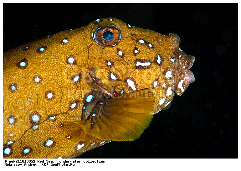 �����, ������� ����, ������, �������, �����, ����, �����, ����������������, �������������, �������, ���������, ������������, ������, �����, ��������, �����, ��������, ��������, ������, ����������, ����������, ����������, �������, �������, ������, �������, �����, �������, �����, ���, ����, �������, �������, �������, ����, ������������, ������������, ������, ������, ����, �����, ������������, ������������, ���������, ������� , ������, �������, ����, ����������, ���������, ��������� ���������, ���������, �������, ���, �������, �������, �������, ����, ����, ������, ��������, ��������, �������, �����������, �����������, �����������, ������ ���, ��������, ��������, ��������, ��������