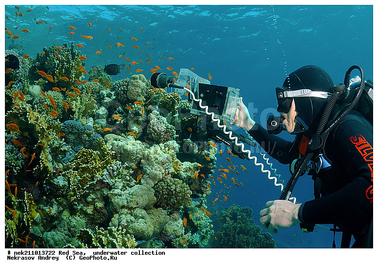 �����, ������� ����, ������, �������, ������, ����, �����, �������������, ������������, �������, ������, �����, ��������, �����, ��������, ������, ����������, ����������, ����������, �������, �������, ������, �������, �����������, ���, ����, �������, �������, �������, ����, �����, ������������, ������������, ���������, ����, ����������, ���������, ��������� ���������, ���������, �������, ���, �������, �������, �������, ����, ����, ��������, ��������, �������, �����������, �����������, �����������