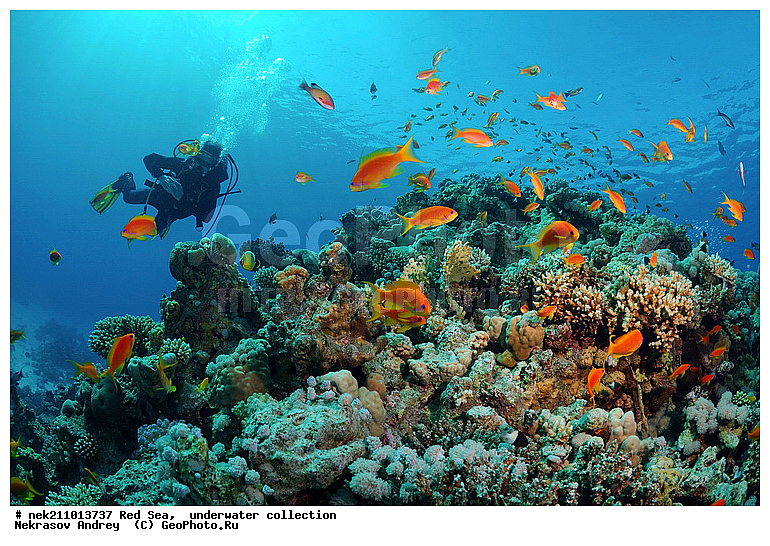 �����, ������� ����, ������, �������, ������, ����, �����, �������������, ������������, �������, ������, �����, ��������, �����, ��������, ������, ����������, ����������, ����������, �������, �������, ������, �������, �����������, ���, ����, �������, �������, �������, ����, �����, ������������, ������������, ���������, ����, ����������, ���������, ��������� ���������, ���������, �������, ���, �������, �������, �������, ����, ����, ��������, ��������, �������, �����������, �����������, �����������