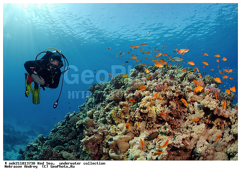 �����, ������� ����, ������, �������, ������, ����, �����, �������������, ������������, �������, ������, �����, ��������, �����, ��������, ������, ����������, ����������, ����������, �������, �������, ������, �������, �����������, ���, ����, �������, �������, �������, ����, �����, ������������, ������������, ���������, ����, ����������, ���������, ��������� ���������, ���������, �������, ���, �������, �������, �������, ����, ����, ��������, ��������, �������, �����������, �����������, �����������, ������� � ��������� ���, ������� � �������