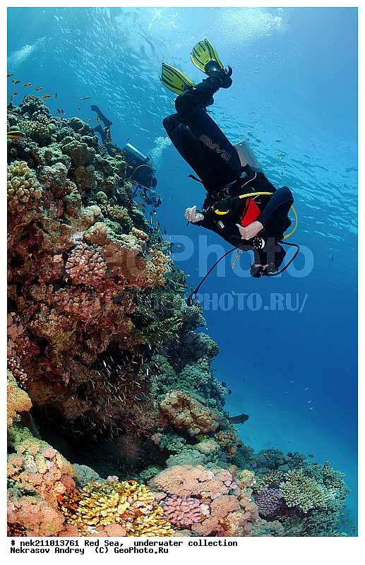 �����, ������� ����, ������, �������, ����, �����, �������������, ������, �������, ������, �����, ��������, �����, ��������, ������, ����������, ����������, ����������, �������, �������, ������, �������, ���, ����, �������, �������, �������, ����, �����, ������������, ������������, ���������, ����, ����������, ���������, ��������� ���������, ���������, �������, ���, �������, �������, �������, ����, ����, �������, ����, ���������, ��������, ��������, �������, �����������, �����������, �����������