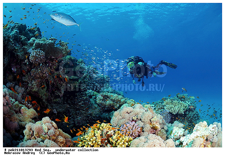 �����, ������� ����, ������, �������, ����, �����, �������������, ������, �������, ������, �����, ��������, �����, ��������, ������, ����������, ����������, ����������, �������, �������, ������, �������, ���, ����, �������, �������, �������, ����, �����, ������������, ������������, ���������, ����, ����������, ���������, ��������� ���������, ���������, �������, ���, �������, �������, �������, ����, ����, �������, ����, ���������, ��������, ��������, �������, �����������, �����������, �����������, ������� � ��������� ���, ������� � �������