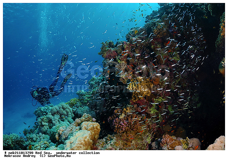 �����, ������� ����, ������, �������, ����, �����, �������������, ������, �������, ������, �����, ��������, �����, ��������, ������, ����������, ����������, ����������, �������, �������, ������, �������, ���, ����, �������, �������, �������, ����, �����, ������������, ������������, ���������, ����, ����������, ���������, ��������� ���������, ���������, �������, ���, �������, �������, �������, ����, ����, �������, ����, ���������, ��������, ��������, �������, �����������, �����������, �����������, ������� � ��������� ���, ������� � �������