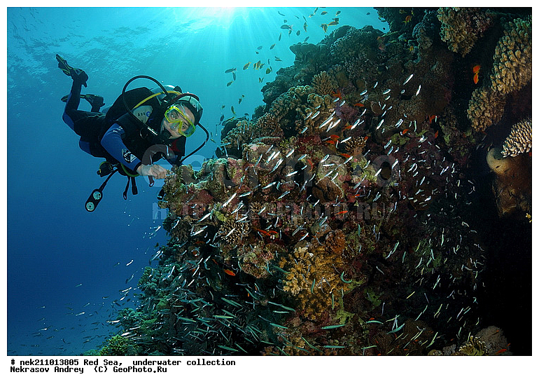 �����, ������� ����, ������, �������, ����, �����, �������������, ������, �������, ������, �����, ��������, �����, ��������, ������, ����������, ����������, ����������, �������, �������, ������, �������, ���, ����, �������, �������, �������, ����, �����, ������������, ������������, ���������, ����, ����������, ���������, ��������� ���������, ���������, �������, ���, �������, �������, �������, ����, ����, �������, ����, ���������, ��������, ��������, �������, �����������, �����������, �����������, ������� � ��������� ���, ������� � �������