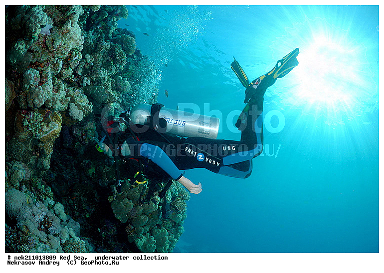 �����, ������� ����, ������, �������, ����, �����, �������������, ������, �������, ������, �����, ��������, �����, ��������, ������, ����������, ����������, ����������, �������, �������, ������, �������, ���, ����, �������, �������, �������, ����, �����, ������������, ������������, ���������, ����, ����������, ���������, ��������� ���������, ���������, �������, ���, �������, �������, �������, ����, ����, �������, ����, ���������, ��������, ��������, �������, �����������, �����������, �����������