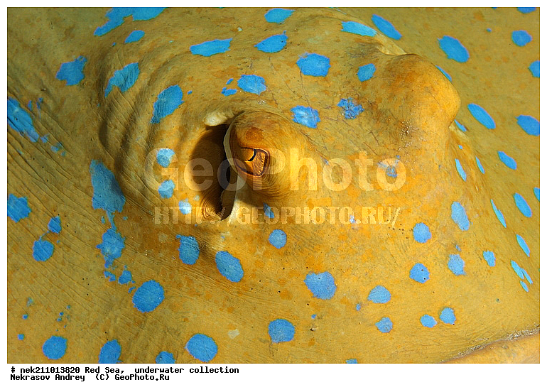 ������, �������, ����, �����, �������������, �������, ������, �����, ��������, �����, ��������, ������, ����������, ����������, ����������, �������, ���, �������, ������, �������, ���, ����, �������, �������, �������, ����, �����, ������������, ������������, ���������, ����, ����������, ���������, ���������, �������, ���������, ���, �������, �������, �������, ����, ����, ����, �����, ��������, ��������, �������, �����������, �����������, �����������, ���������, ��������