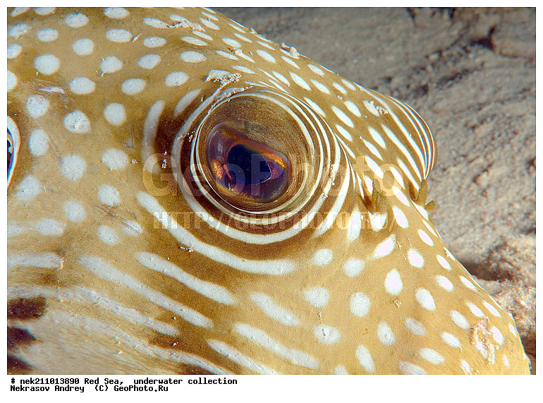 , �����, ������� ����, ������, �������, �����, ����, �����, ����������������, �������������, �������, ���������, ������������, ������, �����, ��������, �����, ��������, ������, ����������, ����������, ����������, �������, �������, ������, �������, �����, ���, ����, �������, �������, �������, ����, ������������, ������������, ������, ������, ����, �����, ������������, ������������, ���������, ������� , ������, �������, ����, ����������, ���������, ��������� ���������, ���������, �������, ���, �������, �������, �������, ����, ����, ������, ������������, ��������, ��������, ��������, �������, �����������, �����������, �����������, ����, ������ ���, �����������, ���, ��������, ��������, ��������, ��������