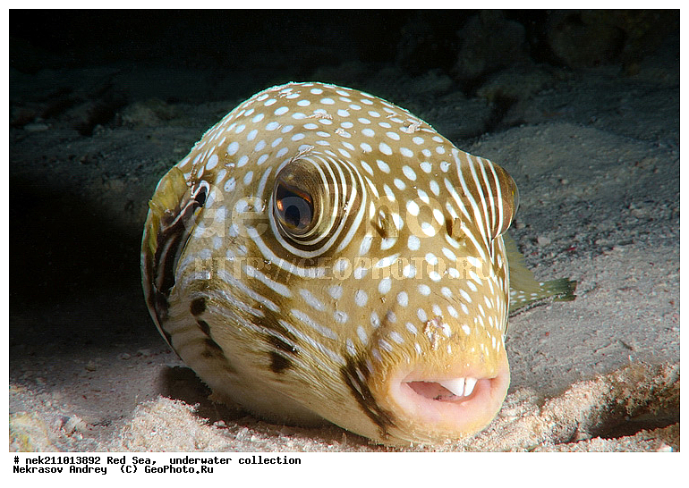 , �����, ������� ����, ������, �������, �����, ����, �����, ����������������, �������������, �������, ���������, ������������, ������, �����, ��������, �����, ��������, ������, ����������, ����������, ����������, �������, �������, ������, �������, �����, ���, ����, �������, �������, �������, ����, ������������, ������������, ������, ������, ����, �����, ������������, ������������, ���������, ������� , ������, �������, ����, ����������, ���������, ��������� ���������, ���������, �������, ���, �������, �������, �������, ����, ����, ������, ������������, ��������, ��������, ��������, �������, �����������, �����������, �����������, ����, ������ ���, �����������, ���, ��������, ��������, ��������, ��������