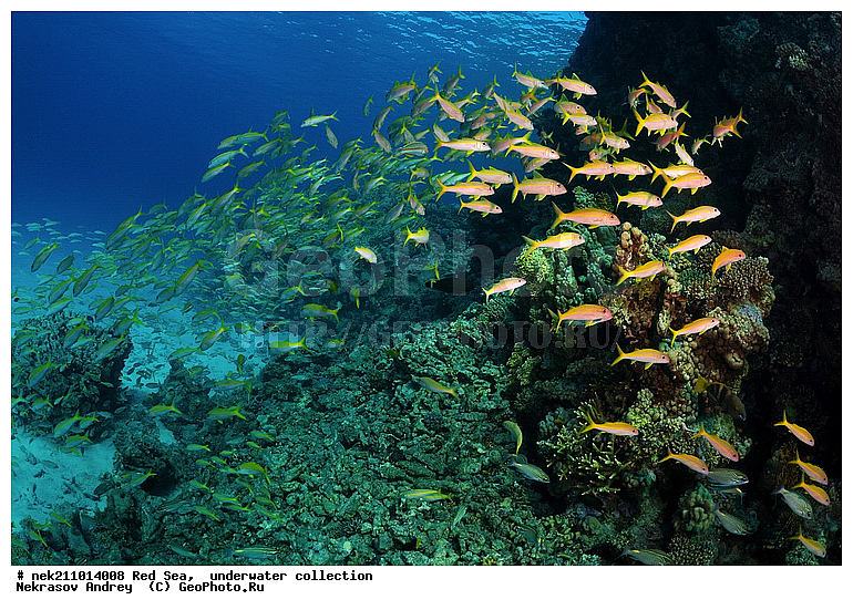 , �����, ������� ����, ������, �������, ����������, ����, �����, �������������, �������, ������, �����, ��������, �����, ��������, ������, ����������, ����������, ����������, �������, �������, ������, �������, ���, ����, �������, �������, �������, ����, �����, ������������, ������������, ���������, ����, ����������, ���������, ��������� ���������, ���������, �������, ���, �������, �������, �������, ����, ����, ����, ��������, ��������, ��������, �������, �����������, �����������, �����������