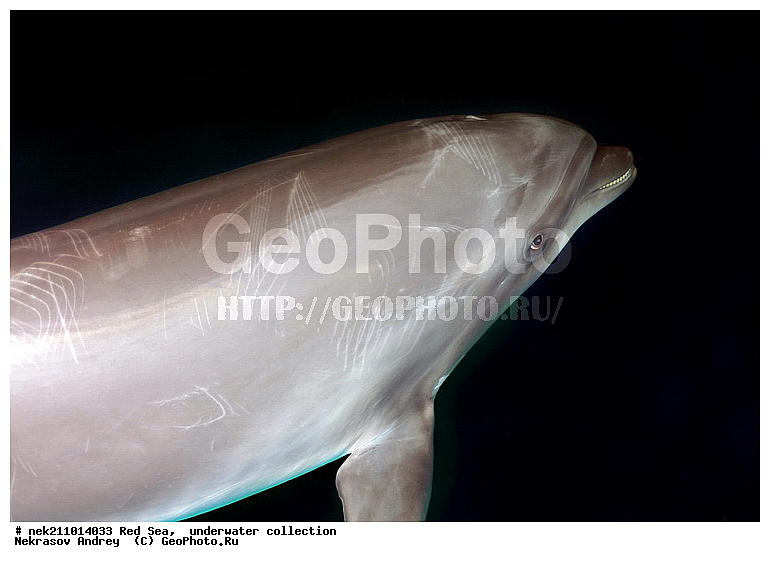 ������, �������, ������, �������, �������, ������������, ����, �����, �������������, �������, �������, ������, �����, ��������, �����, ��������, ������, ����������, ����������, ����������, �������, �������, ������, �������, ���, �������������, ����, �������, �������, �������, ����, �����, ������������, ������������, ���������, ����, ����������, ���������, ���������, �������, ���, �������, �������, �������, ����, ��������, ��������, �������, �����������, �����������, �����������