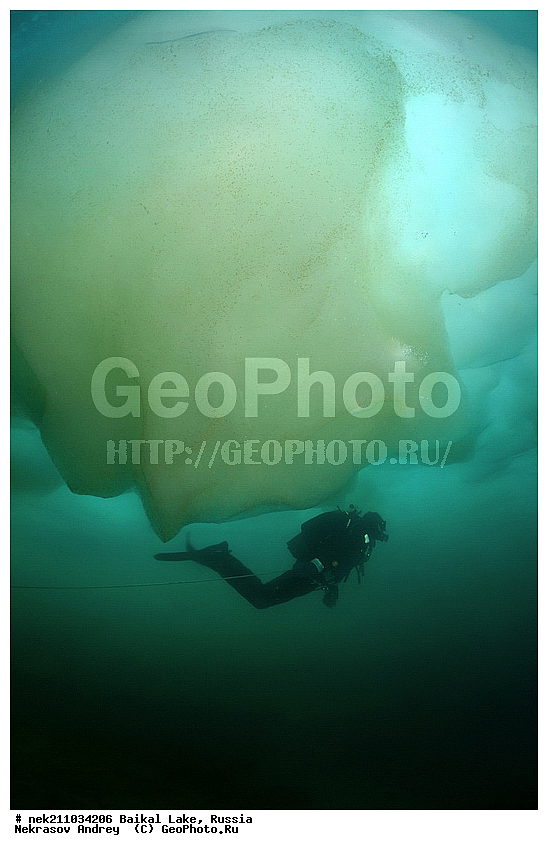 ICE diving, ice-diving, icediving, ������, ��������� ���, ������, �������, ������, ��������, �����������, ����, ������, ������, ������, �����, �������, ����, ���, �����, ����, ������, ������, �����, ��������, ���, ���������, ���������, ���������, ���������, ��������, ���������, ���������, ��������� ��������, ���������, ���������, �������, ������������, ������������, �������, �������, �����������, �����������, �����, �����, ����, �����, �����, ������, ������, ����������, �������, �������������, ���������, ��������� ���, ������ ������, ������, �������, ������, ���������������������, ����������, ����������, �������, �����������, ����, �����, ���������, �����, �������, ��������, ����������, ���������, ���������, �������, ���������� ���������, ������, ������, ���, ����, ������, �����, �����, ���, ������, ��� ������, ������ ������, ������, ����� ������, ������ �����, ����������� ����, ���� ������, ����� ����, ����, ��������� ������, ��������� ����, ������� �����