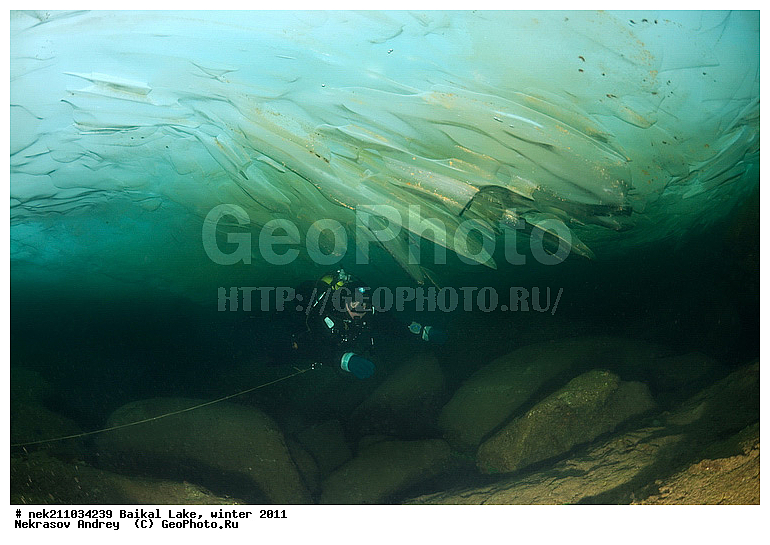 ICE diving, ice-diving, icediving, ������, �������, �������, �����������, �����������, �����������, ��������� ���, ������, �������, ������, ���������, ���������, ���������, ������, ��������, �����������, �����, �����, ����, ������, ������, ������, �����, �������, �������, �������, ����, ���, �������, ����������, ����������, ������, �������, �������, �������, �������, �����, �����, ����, ��, ������, ������, �����, ��������, ��, ���, ���������, ���������, ���������, ���������, ��������, ���������, ���������, ��������� ��������, ���������, ���������, �������, ������������, ������������, �������, �������, ����������, �����������, �����������, �����, ������, ��������, ��������, ��������, ������, ������, �����, �������, ����, �������, �����, ������, �����, ������, �������, ������, ����������, �����, ������, �������, �������������, ���������, ��������� ���, ������ ������, ������, �������, ������, ���������������������, ����������, ����������, �������, �����������, ����, �����, ���������, �����, �������, ��������, ����������, ���������, ���������, �������, ���������� ���������, ������, ������, ���, ����, ������, �����, �����, ���, ������, ��� ������, ������ ������, ������, ����� ������, ������ �����, ����������� ����, ���� ������, ����� ����, ����, ��������� ������, ��������� ����, ������� �����