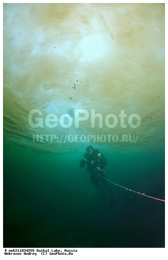 ICE diving, ice-diving, icediving, ������, �������, �������, �����������, �����������, �����������, ��������� ���, ������, �������, ������, ���������, ���������, ���������, ������, ��������, �����������, �����, �����, ����, ������, ������, ������, �����, �������, ����, ���, �������, ����������, ����������, ������, �������, �������, �������, �������, �����, ����, ��, ������, ������, �����, ��������, ��, ���, ���������, ���������, ���������, ���������, ��������, ���������, ���������, ��������� ��������, ���������, ���������, �������, ������������, ������������, �������, �������, �����������, �����������, �����, ������, ��������, ��������, ��������, ������, �����, ����, �������, �����, �����, ������, ������, ����������, �������, �������������, ���������, ��������� ���, ������ ������, ������, �������, ������, ���������������������, ����������, ����������, �������, �����������, ����, �����, ���������, �����, �������, ��������, ����������, ���������, ���������, �������, ���������� ���������, ������, ������, ���, ����, ������, �����, �����, ���, ������, ��� ������, ������ ������, ������, ����� ������, ������ �����, ����������� ����, ���� ������, ����� ����, ����, ��������� ������, ��������� ����, ������� �����