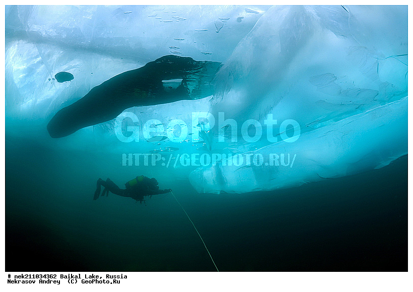 ICE diving, ice-diving, icediving, ������, �������, �������, �����������, �����������, �����������, ��������� ���, ������, �������, ������, ���������, ���������, ���������, ������, ��������, �����������, �����, �����, ����, ������, ������, ������, �����, �������, ����, ���, �������, ����������, ����������, ������, �������, �������, �������, �������, �����, ����, ��, ������, ������, �����, ��������, ��, ���, ���������, ���������, ���������, ���������, ��������, ���������, ���������, ��������� ��������, ���������, ���������, �������, ������������, ������������, �������, �������, �����������, �����������, �����, ������, ��������, ��������, ��������, ������, �����, ����, �������, �����, �����, ������, ������, ����������, �������, �������������, ���������, ��������� ���, ������ ������, ������, �������, ������, ���������������������, ����������, ����������, �������, �����������, ����, �����, ���������, �����, �������, ��������, ����������, ���������, ���������, �������, ���������� ���������, ������, ������, ���, ����, ������, �����, ������, ����� ������, ������ �����, ����������� ����, ���� ������, ����� ����, ����, ��������� ������, ��������� ����, ������� �����