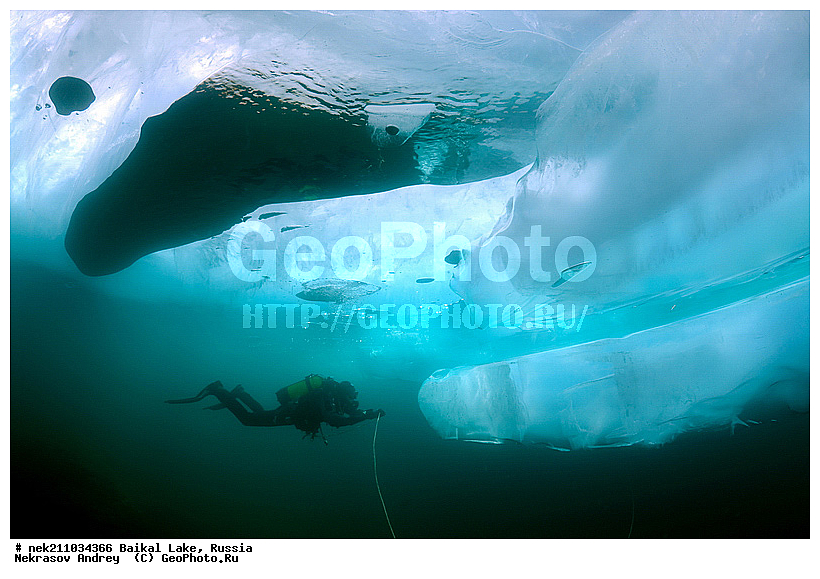 ICE diving, ice-diving, icediving, ������, �������, �������, �����������, �����������, �����������, ��������� ���, ������, �������, ������, ���������, ���������, ���������, ������, ��������, �����������, �����, �����, ����, ������, ������, ������, �����, �������, ����, ���, �������, ����������, ����������, ������, �������, �������, �������, �������, �����, ����, ��, ������, ������, �����, ��������, ��, ���, ���������, ���������, ���������, ���������, ��������, ���������, ���������, ��������� ��������, ���������, ���������, �������, ������������, ������������, �������, �������, �����������, �����������, �����, ������, ��������, ��������, ��������, ������, �����, ����, �������, �����, �����, ������, ������, ����������, �������, �������������, ���������, ��������� ���, ������ ������, ������, �������, ������, ���������������������, ����������, ����������, �������, �����������, ����, �����, ���������, �����, �������, ��������, ����������, ���������, ���������, �������, ���������� ���������, ������, ������, ���, ����, ������, �����, ������, ����� ������, ������ �����, ����������� ����, ���� ������, ����� ����, ����, ��������� ������, ��������� ����, ������� �����