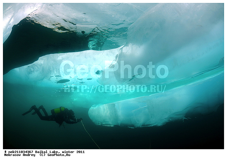 ICE diving, Lubomirskiidae, Sponges, ice-diving, icediving, ������, �������, �������, �����������, �����������, �����������, �����������, ��������� ���, ������, �������, ������, ���������, ���������, ���������, ������, ��������, �����������, �����, �����, ����, ������, ������, ������, �����, �������, ���, ����, ������, ���, �������, ����������, ����������, ������, �������, �������, �������, �������, �����, ����, ��, ������, ������, �����, ��������, ��, ���, ���������, ���������, ���������, ���������, ��������, ���������, ���������, ��������� ��������, ���������, ���������, �������, ������������, ������������, �������, �������, �����������, �����������, �����, ������, ��������, ��������, ��������, ������, �����, ����, �������, �����, �����, ������, ������, ����������, �������, �������������, ���������, ��������� ���, ������ ������, ������, �������, ������, ���������������������, ����������, ����������, �������, �����������, ����, �����, ���������, �����, �������, ��������, ����������, ���������, ���������, �������, ���������� ���������, ������, ������, ���, ����, ������, �����, ������, ����� ������, ������ �����, ����������� ����, ���� ������, ����� ����, ����, ��������� ������, ��������� ����, ������� �����