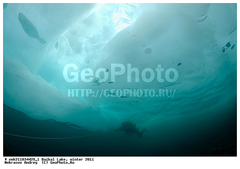 ICE diving, ice-diving, icediving, ������, �������, �������, �����������, �����������, �����������, ��������� ���, ������, �������, ������, ���������, ���������, ���������, ������, ��������, �����������, �����, �����, ����, ������, ������, ������, �����, �������, �������, �������, ����, ���, �������, ����������, ����������, ������, �������, �������, �������, �������, �����, �����, ����, ��, ������, ������, �����, ��������, ��, ���, ���������, ���������, ���������, ���������, ��������, ���������, ���������, ��������� ��������, ���������, ���������, �������, ������������, ������������, �������, �������, ����������, �����������, �����������, �����, ������, ��������, ��������, ��������, ������, ������, �����, �������, ����, �������, �����, ������, �����, ������, �������, ������, ����������, �����, ������, �������, �������������, ���������, ��������� ���, ������ ������, ������, �������, ������, ���������������������, ����������, ����������, �������, �����������, ����, �����, ���������, �����, �������, ��������, ����������, ���������, ���������, �������, ���������� ���������, ������, ������, ���, ����, ������, �����, ������, ����� ������, ������ �����, ����������� ����, ���� ������, ����� ����, ����, ��������� ������, ��������� ����, ������� �����