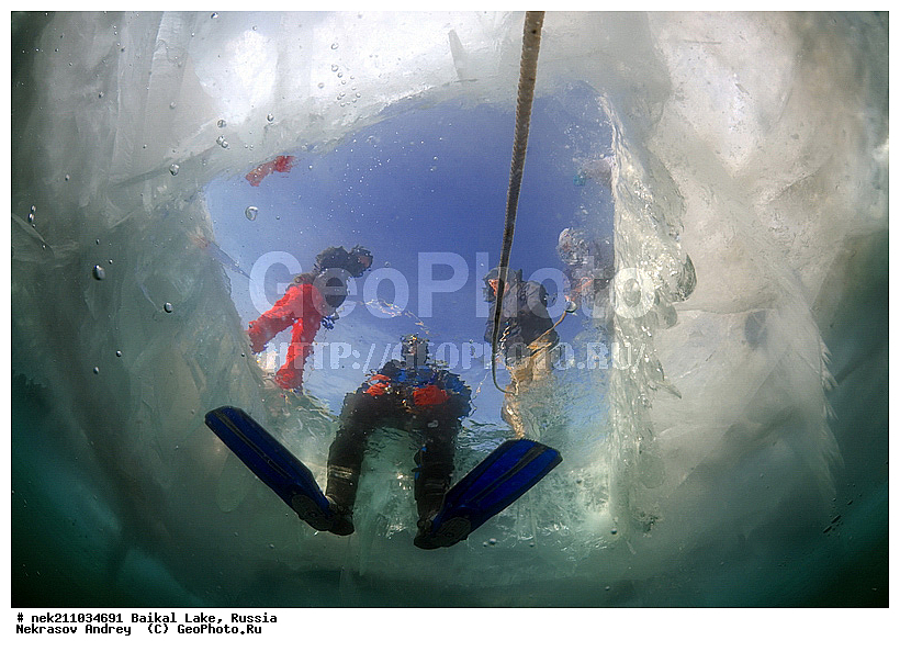 ICE diving, ice-diving, icediving, ������, �������, �������, �����������, �����������, �����������, ��������� ���, ������, �������, ������, ���������, ���������, ���������, ������, ��������, �����������, �����, �����, ����, ������, ������, ������, �����, �������, ����, ���, �������, ����������, ����������, ������, �������, �������, �������, �������, �����, ����, ��, ������, ������, �����, ��������, ��, ���, ���������, ���������, ���������, ���������, ��������, ���������, ���������, ��������� ��������, ���������, ���������, �������, ������������, ������������, ������������, �������, �������, �����������, �����������, �����, ������, ��������, ��������, ��������, ������, �����, ����, �������, �����, �����, �����, ������, ������, ����������, �������, �������������, ���������, ��������� ���, ������ ������, ������, �������, ������, ���������������������, ����������, ����������, �������, �����������, ����, �����, ���������, �����, �������, ��������, ����������, ���������, ���������, �������, ���������� ���������, ������, ������, ���, ����, ������, �����, ������, ����� ������, ������ �����, ����������� ����, ���� ������, ����� ����, ����, ��������� ������, ��������� ����, ������� �����