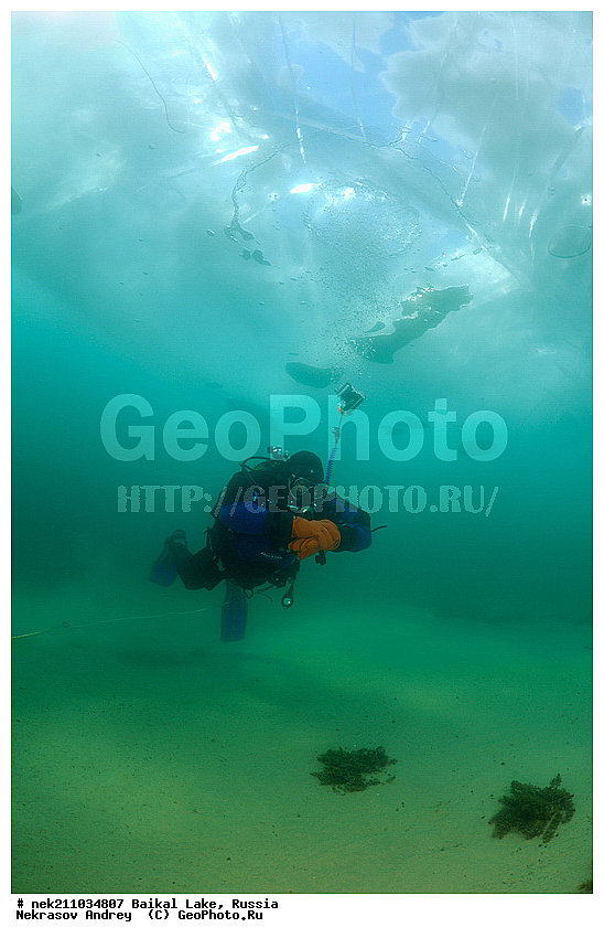 ICE diving, ice-diving, icediving, ������, �������, �������, �����������, �����������, �����������, ��������� ���, ������, �������, ������, ���������, ���������, ���������, ������, ��������, �����������, �����, �����, ����, ������, ������, ������, �����, �������, ����, ���, �������, ����������, ����������, ������, �������, �������, �������, �������, �����, ����, ��, ������, ������, �����, ��������, ��, ���, ���������, ���������, ���������, ���������, ��������, ���������, ���������, ��������� ��������, ���������, ���������, �������, ������������, ������������, ������������, �������, �������, �����������, �����������, �����, ������, ��������, ��������, ��������, ������, �����, ����, �������, �����, �����, ������, ������, ����������, �������, �������������, ���������, ��������� ���, ������ ������, ������, �������, ������, ���������������������, ����������, ����������, �������, �����������, ����, �����, ���������, �����, �������, ��������, ����������, ���������, ���������, �������, ���������� ���������, ������, ������, ���, ����, ������, �����, ������, ����� ������, ������ �����, ����������� ����, ���� ������, ����� ����, ����, ��������� ������, ��������� ����, ������� �����