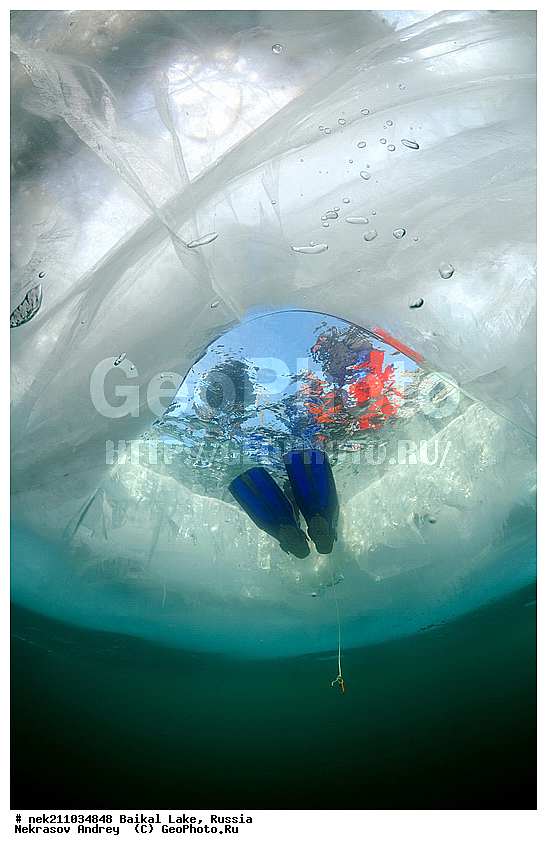ICE diving, ice-diving, icediving, ������, �������, �������, �����������, �����������, �����������, ��������� ���, ������, �������, ������, ���������, ���������, ���������, ������, ��������, �����������, �����, �����, ����, ������, ������, ������, �����, �������, ����, ���, �������, ����������, ����������, ������, �������, �������, �������, �������, �����, ����, ��, ������, ������, �����, ��������, ��, ���, ���������, ���������, ���������, ���������, ��������, ���������, ���������, ��������� ��������, ���������, ���������, �������, ������������, ������������, ������������, �������, �������, �����������, �����������, �����, ������, ��������, ��������, ��������, ������, �����, ����, �������, �����, �����, �����, ������, ������, ����������, �������, �������������, ���������, ��������� ���, ������ ������, ������, �������, ������, ���������������������, ����������, ����������, �������, �����������, ����, �����, ���������, �����, �������, ��������, ����������, ���������, ���������, �������, ���������� ���������, ������, ������, ���, ����, ������, �����, ������, ����� ������, ������ �����, ����������� ����, ���� ������, ����� ����, ����, ��������� ������, ��������� ����, ������� �����