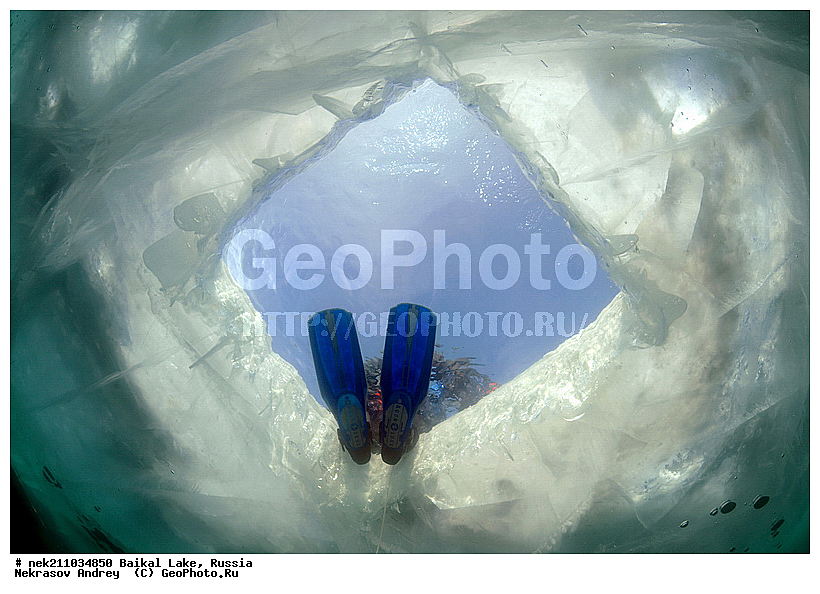 ICE diving, ice-diving, icediving, ������, �������, �������, �����������, �����������, �����������, ��������� ���, ������, �������, ������, ���������, ���������, ���������, ������, ��������, �����������, �����, �����, ����, ������, ������, ������, �����, �������, ����, ���, �������, ����������, ����������, ������, �������, �������, �������, �������, �����, ����, ��, ������, ������, �����, ��������, ��, ���, ���������, ���������, ���������, ���������, ��������, ���������, ���������, ��������� ��������, ���������, ���������, �������, ������������, ������������, ������������, �������, �������, �����������, �����������, �����, ������, ��������, ��������, ��������, ������, �����, ����, �������, �����, �����, ������, ������, ����������, �������, �������������, ���������, ��������� ���, ������ ������, ������, �������, ������, ���������������������, ����������, ����������, �������, �����������, ����, �����, ���������, �����, �������, ��������, ����������, ���������, ���������, �������, ���������� ���������, ������, ������, ���, ����, ������, �����, ������, ����� ������, ������ �����, ����������� ����, ���� ������, ����� ����, ����, ��������� ������, ��������� ����, ������� �����