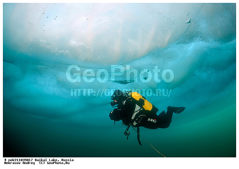 ICE diving, ice-diving, icediving, ������, �������, �������, �����������, �����������, �����������, ��������� ���, ������, �������, ������, ���������, ���������, ���������, ������, ��������, �����������, �����, �����, ����, ������, ������, ������, �����, �������, ����, ���, �������, ����������, ����������, ������, �������, �������, �������, �������, �����, ����, ��, ������, ������, �����, ��������, ��, ���, ���������, ���������, ���������, ���������, ��������, ���������, ���������, ��������� ��������, ���������, ���������, �������, ������������, ������������, ������������, �������, �������, �����������, �����������, �����, ������, ��������, ��������, ��������, ������, �����, ����, �������, �����, �����, ������, ������, ����������, �������, �������������, ���������, ��������� ���, ������ ������, ������, �������, ������, ���������������������, ����������, ����������, �������, �����������, ����, �����, ���������, �����, �������, ��������, ����������, ���������, ���������, �������, ���������� ���������, ������, ������, ���, ����, ������, �����, ������, ����� ������, ������ �����, ����������� ����, ���� ������, ����� ����, ����, ��������� ������, ��������� ����, ������� �����