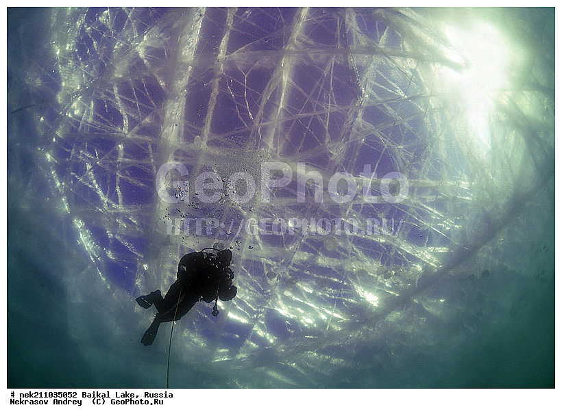 ICE diving, ice-diving, icediving, ������, �������, �������, �����������, �����������, �����������, ��������� ���, ������, �������, ������, ���������, ���������, ���������, ������, ��������, �����������, �����, �����, ����, ������, ������, ������, �����, �������, ����, ���, �������, ����������, ����������, ������, �������, �������, �������, �������, �����, ����, ��, ������, ������, �����, ��������, ��, ���, ���������, ���������, ���������, ���������, ��������, ���������, ���������, ��������� ��������, ���������, ���������, �������, ������������, ������������, ������������, �������, �������, �����������, �����������, �����, ������, ��������, ��������, ��������, ������, �����, ����, �������, �����, �����, ������, ������, ����������, �������, �������������, ���������, ��������� ���, ������ ������, ������, �������, ������, ���������������������, ����������, ����������, �������, �����������, ����, �����, ���������, �����, �������, ��������, ����������, ���������, ���������, �������, ���������� ���������, ������, ������, ���, ����, ������, �����, ������, ����� ������, ������ �����, ����������� ����, ���� ������, ����� ����, ����, ��������� ������, ��������� ����, ������� �����