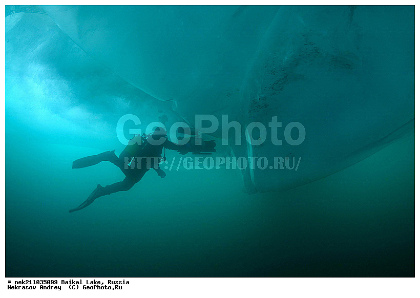 Didier, ICE diving, Noirot, ice-diving, icediving, ������, �������, �������, �����������, �����������, �����������, �����, �����, ��������� ���, ������, �������, ������, ���������, ���������, ���������, ������, ��������, �����������, �����, �����, �����, �����-��������, �����������, ����, ������, ������, ������, �����, �������, ����, ������, ����, ���, �������, ����������, ����������, ������, �������, �������, �������, �������, ����, ��, ������, ������, �����, ��������, ��������, ��, ���, ���������, ���������, ���������, ���������, ��������, ���������, ���������, ��������� ��������, ���������, ���������, �������, ������������, ������������, ������������, �������, �������, �����������, �����������, �����, ������, ��������, ��������, ��������, ������, �����, ����, �������, �������, �����, �����, ������, ������, ����������, �������, �������������, ���������, ��������� ���, ������ ������, ������, �������, ������, ���������������������, ����������, ����������, �������, �����������, ����, �����, ���������, �����, �������, ��������, ����������, ���������, ���������, �������, ���������� ���������, ������, ������, ���, ����, ������, �����, ������, ����� ������, ������ �����, ����������� ����, ���� ������, ����� ����, ����, ��������� ������, ��������� ����, ������� �����