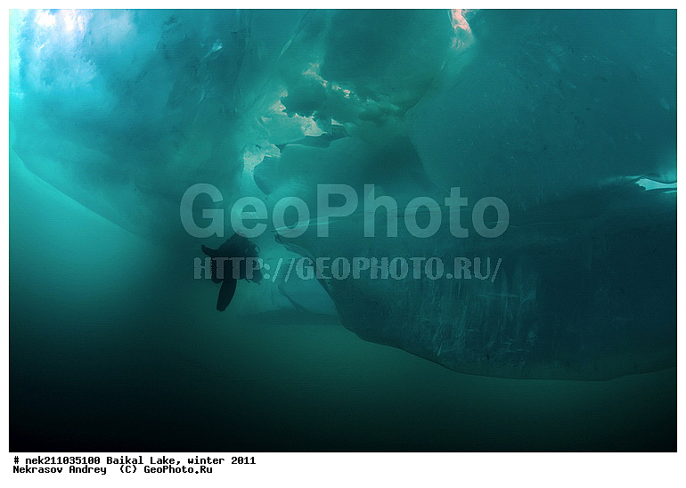 ICE diving, ice-diving, icediving, ������, �������, �������, �����������, �����������, �����������, ��������� ���, ������, �������, ������, ���������, ���������, ���������, ������, ��������, �����������, �����, �����, ����, ������, ������, ������, �����, �������, ����, ���, �������, ����������, ����������, ������, �������, �������, �������, �������, �����, ����, ��, ������, ������, �����, ��������, ��, ���, ���������, ���������, ���������, ���������, ��������, ���������, ���������, ��������� ��������, ���������, ���������, �������, ������������, ������������, ������������, �������, �������, �����������, �����������, �����, ������, ��������, ��������, ��������, ������, �����, ����, �������, �����, �����, ������, ������, ����������, �������, �������������, ���������, ��������� ���, ������ ������, ������, �������, ������, ���������������������, ����������, ����������, �������, �����������, ����, �����, ���������, �����, �������, ��������, ����������, ���������, ���������, �������, ���������� ���������, ������, ������, ���, ����, ������, �����, ������, ����� ������, ������ �����, ����������� ����, ���� ������, ����� ����, ����, ��������� ������, ��������� ����, ������� �����