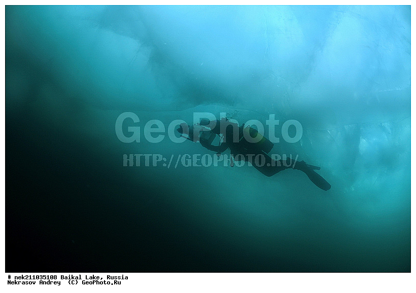 Didier, ICE diving, Noirot, ice-diving, icediving, ������, �������, �������, �����������, �����������, �����������, �����, �����, ��������� ���, ������, �������, ������, ���������, ���������, ���������, ������, ��������, �����������, �����, �����, �����, �����-��������, �����������, ����, ������, ������, ������, �����, �������, ����, ������, ����, ���, �������, ����������, ����������, ������, �������, �������, �������, �������, ����, ��, ������, ������, �����, ��������, ��������, ��, ���, ���������, ���������, ���������, ���������, ��������, ���������, ���������, ��������� ��������, ���������, ���������, �������, ������������, ������������, ������������, �������, �������, �����������, �����������, �����, ������, ��������, ��������, ��������, ������, �����, ����, �������, �������, �����, �����, ������, ������, ����������, �������, �������������, ���������, ��������� ���, ������ ������, ������, �������, ������, ���������������������, ����������, ����������, �������, �����������, ����, �����, ���������, �����, �������, ��������, ����������, ���������, ���������, �������, ���������� ���������, ������, ������, ���, ����, ������, �����, ������, ����� ������, ������ �����, ����������� ����, ���� ������, ����� ����, ����, ��������� ������, ��������� ����, ������� �����